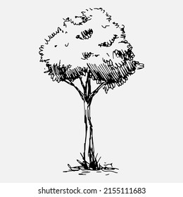 Hand drawn tree. Vector isolated illustration.