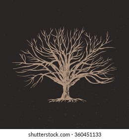 Hand drawn tree. Vintage vector illustration. 