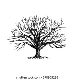 Hand drawn tree. Vintage vector illustration. Black and white inky illustration. 