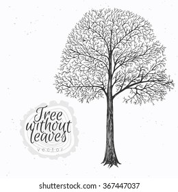 Hand drawn tree without leaves