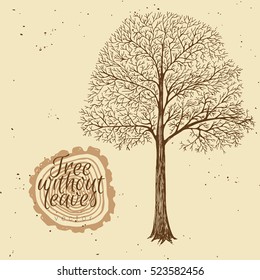Hand drawn tree without leaves