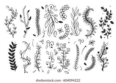 Hand drawn tree wood branches, boughs with leaves and spikes vector doodle floral design elements