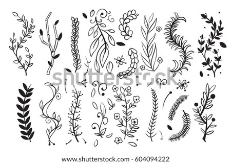Similar – Image, Stock Photo Nature Plant Grass Leaf