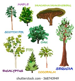 Hand drawn trees 
