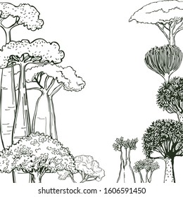Hand drawn trees of Africa. Vector background. Sketch illustration.