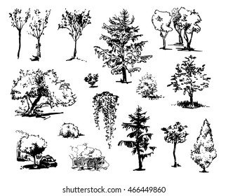 Hand drawn trees. Collection of cute sketches.