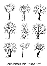 Hand drawn trees isolated on white