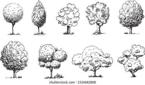 Hand Drawn trees set doodle. Sketch style icon. Decoration element. Isolated on white background. Flat design. Vector illustration.