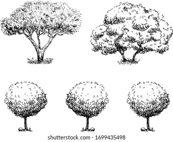 Hand Drawn trees set. Sketch style. Decoration element. Isolated on white background. Vector illustration.