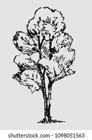 hand drawn tree,sketch style