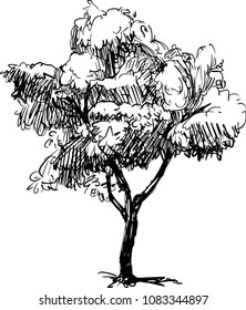 hand drawn tree,sketch of tree