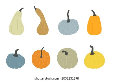 Hand drawn trendy pumpkins various shapes and colors. Harvest thanksgiving or halloween design elements for poster, card. Set of fall vegetables. Flat Vector illustation isolated on white background