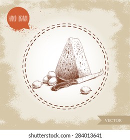 Hand drawn triangle piece of cheese. Cheese knife and grape. Vector organic food illustration. Vintage design.