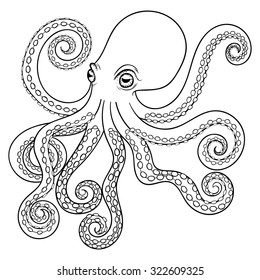 Hand drawn tribal Octopus, animal totem for adult Coloring Page, for zentangle tattoo, illustration with high details isolated on white background. Vector monochrome sketch. Sea life collection.