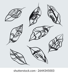 Hand drawn tribal pattern leaves set. Line drawing, line art, leaves sketches