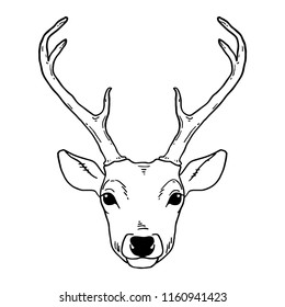 Hand drawn tribal style young deer head. Magic vintage vector illustration in black over white. Spiritual art, yoga, boho style, nature and wilderness. T-shirts and tattoo design.