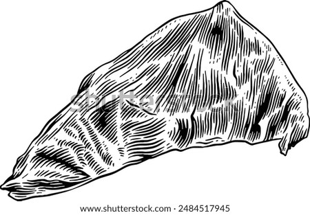 Hand drawn Tri-tip Beef Steak Sketch illustration