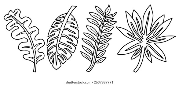 Hand drawn tropical abstract leaves outline set. Black and white exotic foliage vector. Jungle leaf doodles collection