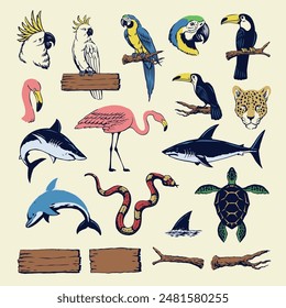 Hand Drawn of Tropical Animal Illustration Set