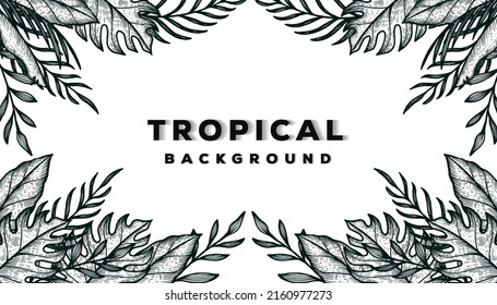 hand drawn tropical background banner template with summer leaves