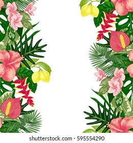 hand drawn tropical background with seamless borders