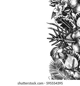 hand drawn tropical background with seamless borders