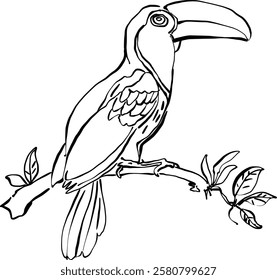 Hand drawn tropical bird. Toucan. Vector illustration. 