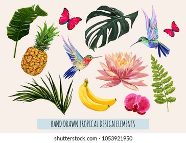 Colección tropical dibujada a mano para las fiestas de verano en la playa: orquídea, loto, hojas tropicales, mariposas, colibríes, piña, plátano. Diseño de vectores elementos aislados en el fondo blanco.