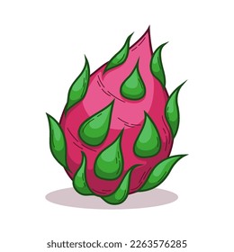Hand Drawn Tropical Dragon Fruit