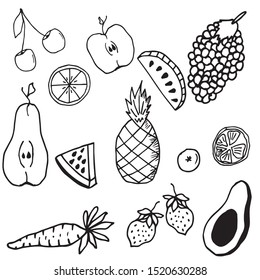 Hand drawn tropical and exotic fruit isolated on white background in unique trendy organic style. Vector illustration for menu design, packaging, cooking book. Coloring book

