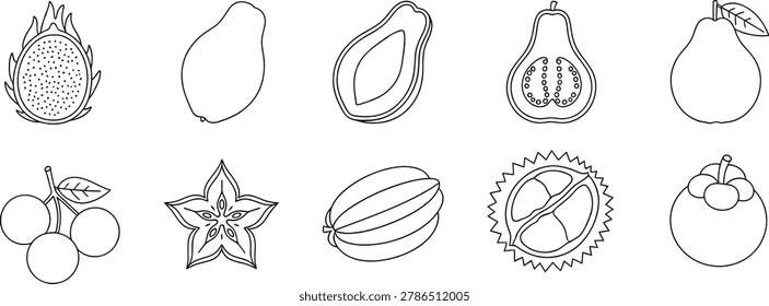 Hand drawn tropical exotic fruit line art icons collection for healthy food design