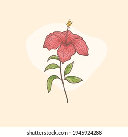 Hand drawn tropical flower, Botanical flower,  floral element for textile decoration and wallpaper