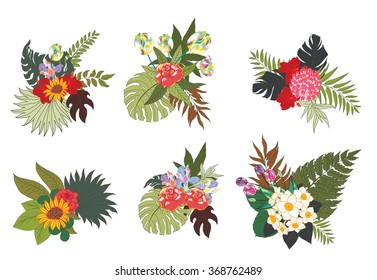 hand drawn tropical flower collection
