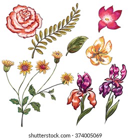 hand drawn tropical flower collection isolated on white background