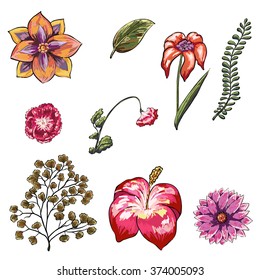 hand drawn tropical flower collection isolated on white background