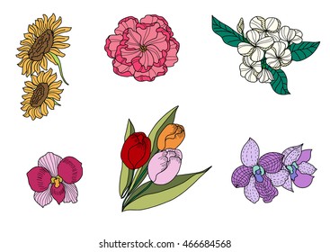 hand drawn tropical flower collection isolated on white background