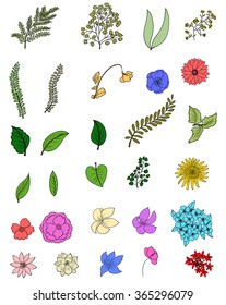 hand drawn tropical flower vector set
