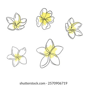 hand drawn tropical flowers vector illustration