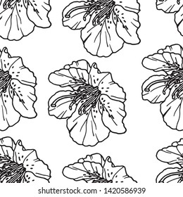 Hand drawn tropical flower.Seamless pattern. Floral background. Outline drawing. Vector botanical illustration. Hand drawn nature painting.Freehand sketching illustration of flower. Element for design