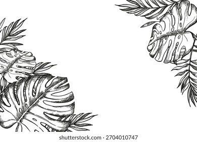 Árbol de bosque tropical dibujado a mano, hojas de palma de Vector, marco Horizontal de follaje blanco y negro de tinta, planta de arbusto de selva exótica, Plantilla de decoración floral, palma de playa de arte lineal para tienda, decoración textil