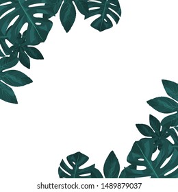 Hand drawn tropical frame with jungle leaves. Monstera and aralia palm leaf border for invitation card. Vector isolated illustration.