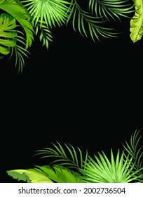 Marco tropical dibujado a mano y hojas de plantas exóticas. Fondo verde natural con espacio para el texto. Marco floral vectorial.