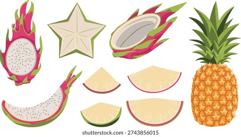 Hand Drawn Tropical Fruit Set with Dragon Fruit, Starfruit, and Pineapple
