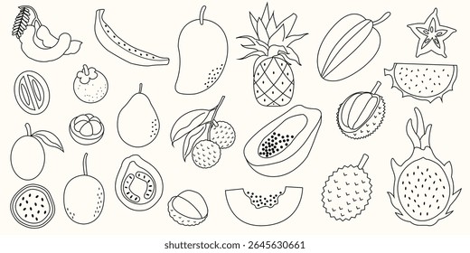 Hand drawn tropical fruits doodles. Exotic summer fruit doodle with mango, papaya, dragon fruit, pineapple. Flat vector fruity design for tropical packaging, healthy food label, kitchen decor.
