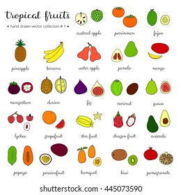 Hand drawn tropical fruits isolated on white background. Mango, pomelo, lychee, passionfruit, custard, water, apple, feijoa, mangosteen, durian, coconut, kumquat, carambola, pitaya, banana, pineapple.