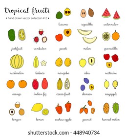 Hand drawn tropical fruits isolated on white background.