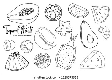 Hand drawn tropical fruits set. Coconut, passion, avocado, pineapple, dragon,  lychees, pineapple, carambola, papaya, guava. Template for your design works. Doodle style vector illustration.