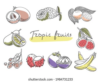 Hand drawn tropical fruits set, jackfruit, banana, longan, kaffir lime, mango steen, lychee, sapodilla. Vector isolated icons illustration set