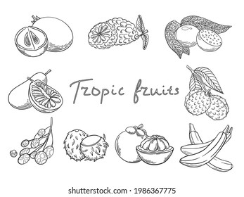 Hand drawn tropical fruits set, organic fruits or vegetarian food. Vector isolated icons illustration set