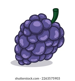 Fruta de uva tropical dibujada a mano